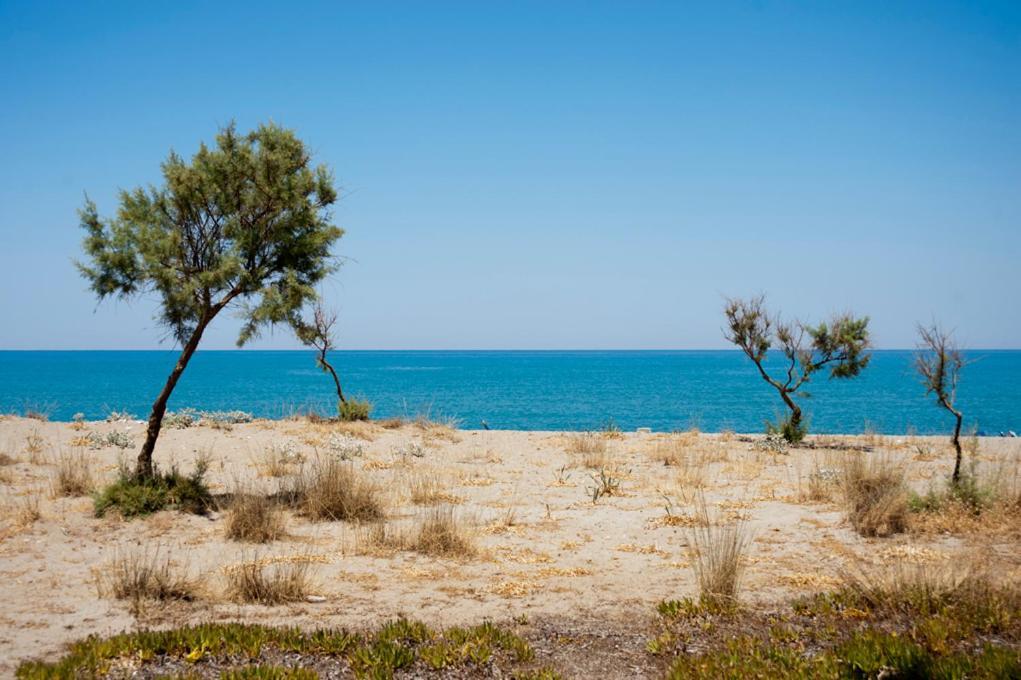 Hotel Lito Gerani (Chania)