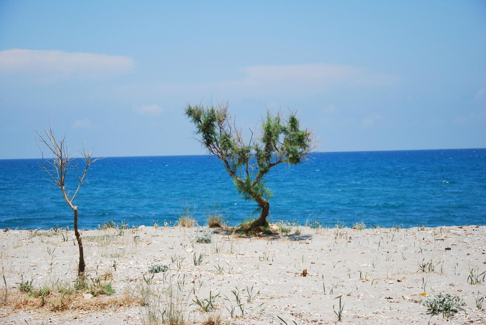 Lito Gerani (Chania)