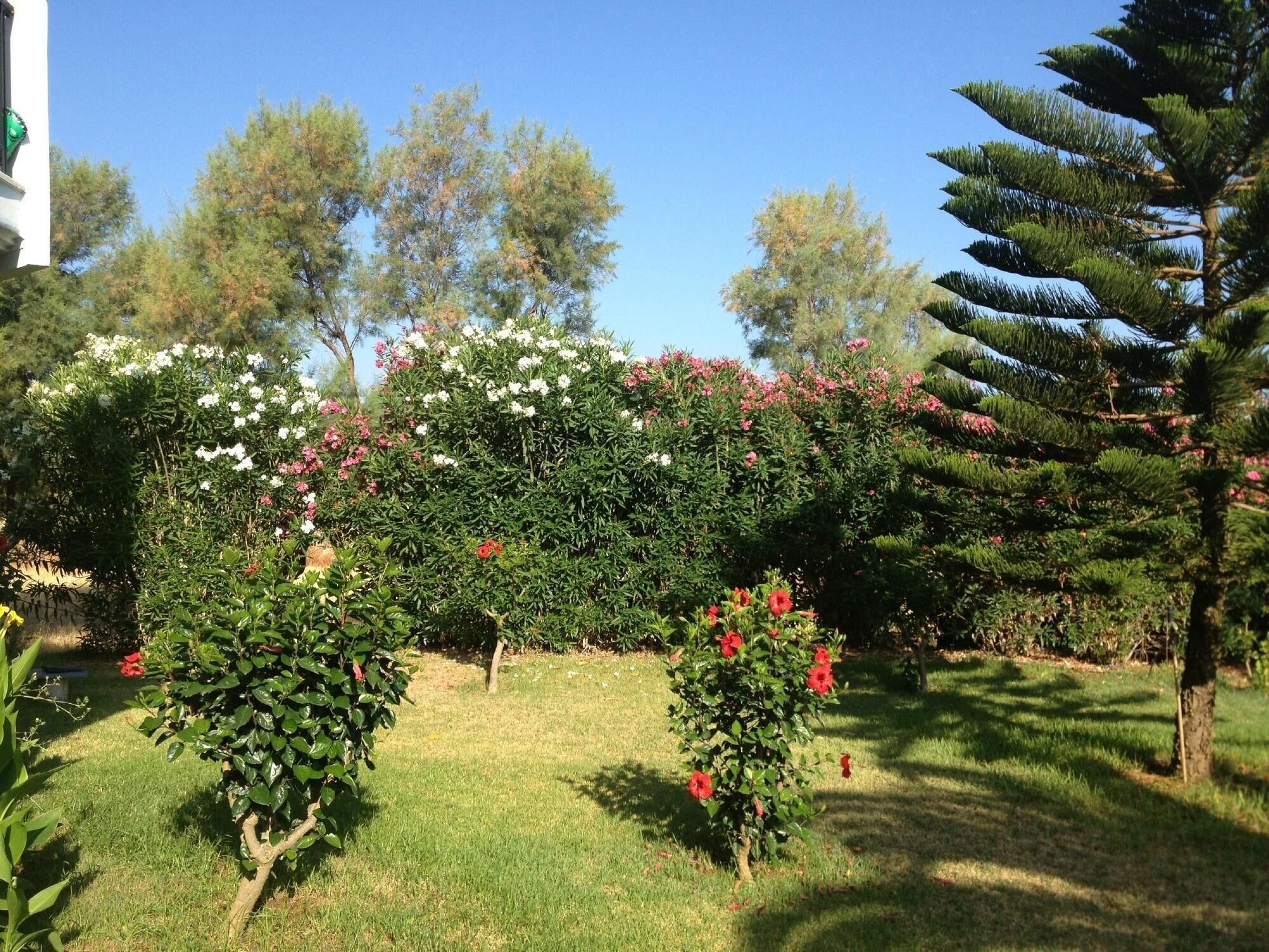 Lito Gerani (Chania)